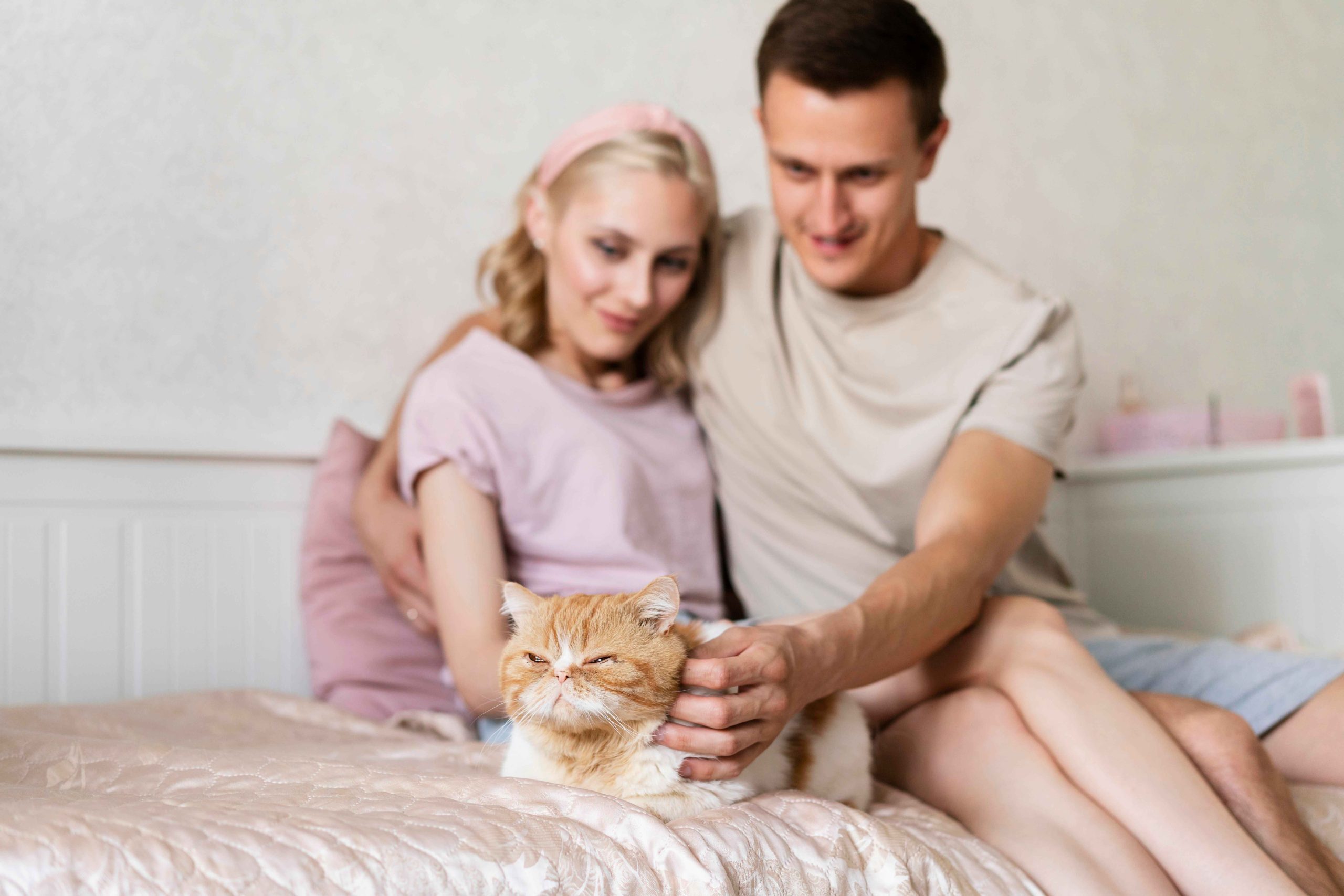 Providing Clam, Independent Care for Cats While You're Away.